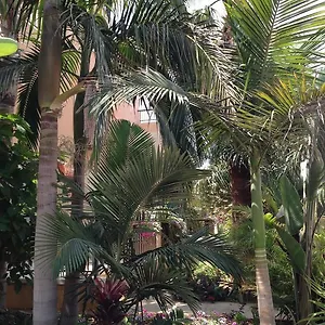 Constantaras Apartament Protaras